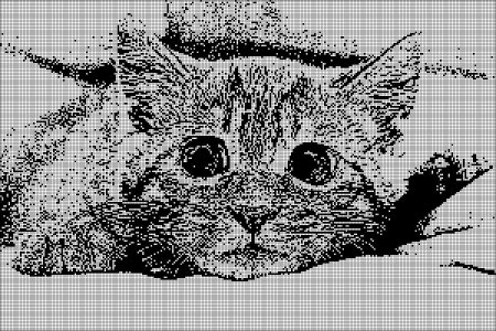 Вышивка монохром