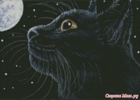 Вышивка крестом кот