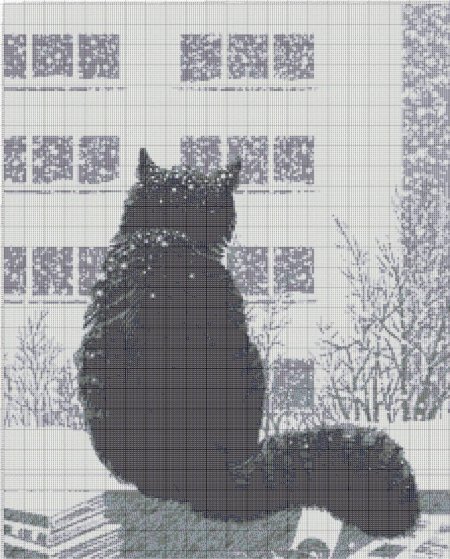 Кот на окне