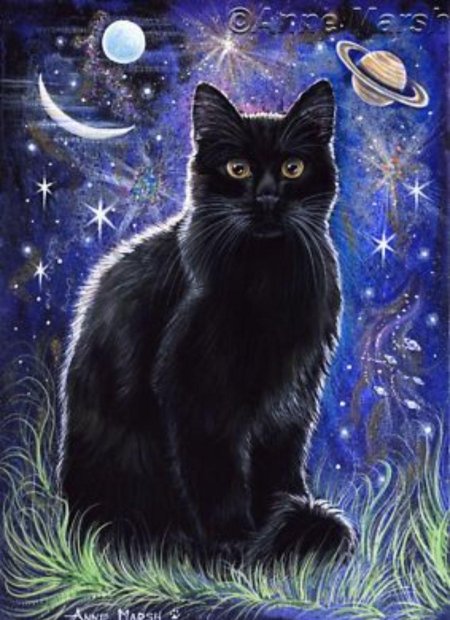 Черная кошка картина
