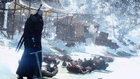 Ведьмак зима