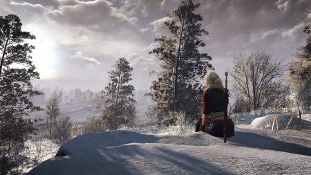Ведьмак 3 Ciri