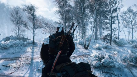 Ведьмак 3: Дикая охота