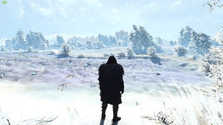 Ведьмак зима