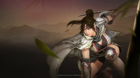 Black Desert Куноичи чакрам