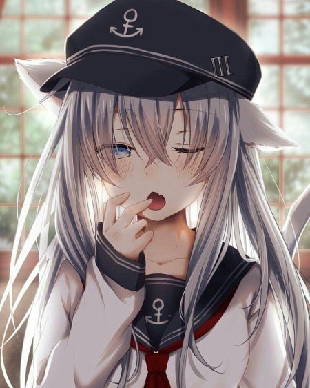 Хибики Кантай Neko