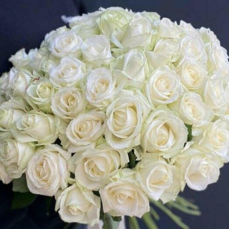 Аваланж Avalanche роза