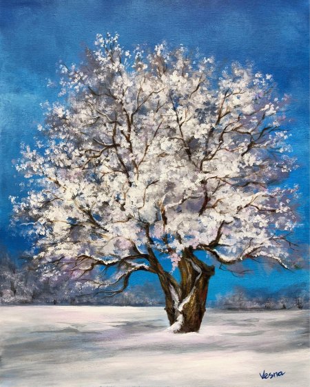 Зимние деревья