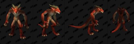 Wow Dragonflight дракониды