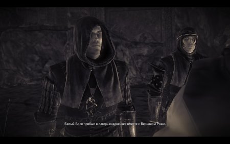 Ведьмаки Эган и Зеррит