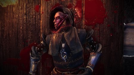 Ведьмаки Эган и Зеррит