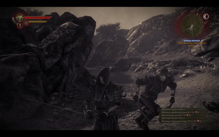 Эган и Зеррит Ведьмак 2