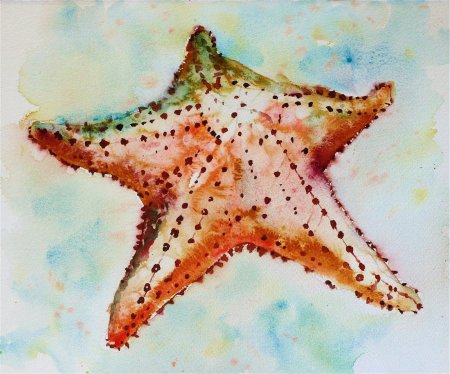 Морская звезда акварель