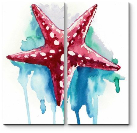 Морская звезда акварель