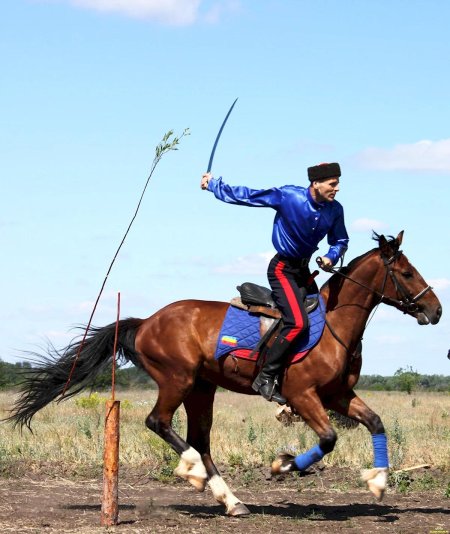Донской казак джигитовка