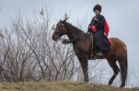 Казачество "казаки на Северном Кавказе" 1860