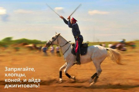 Донской казак джигитовка