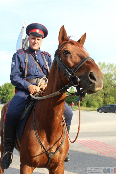 Донской казак с шашкой