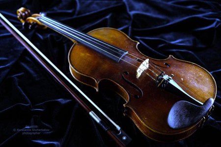 Скрипка Гварнери