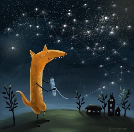 Лиса ночь звезды