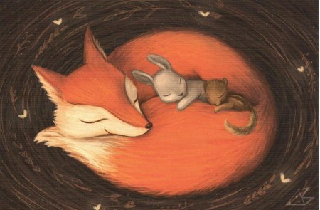 Лиса спит клубочком