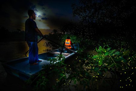 Река светлячков в Куала Лумпур