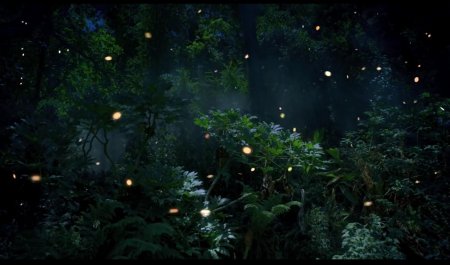 Парк светлячков в Куала Лумпур