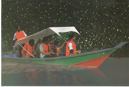 Селангор светлячки