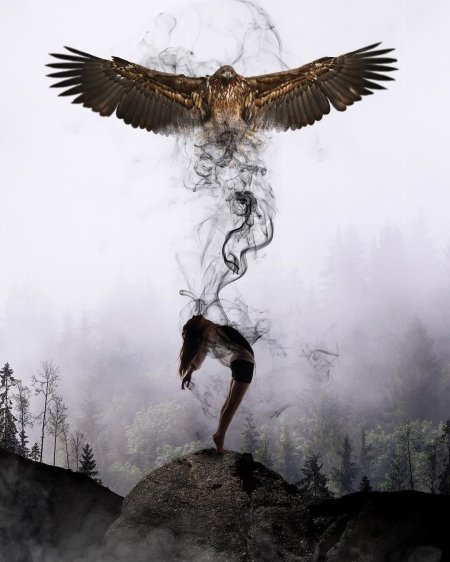 Мистические птицы