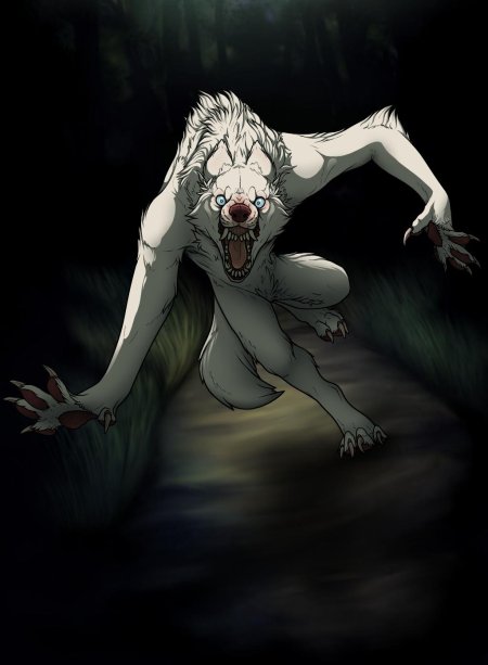 Альбинос волк оборотень