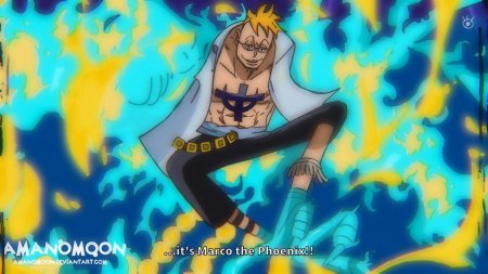 Marco the Phoenix one piece