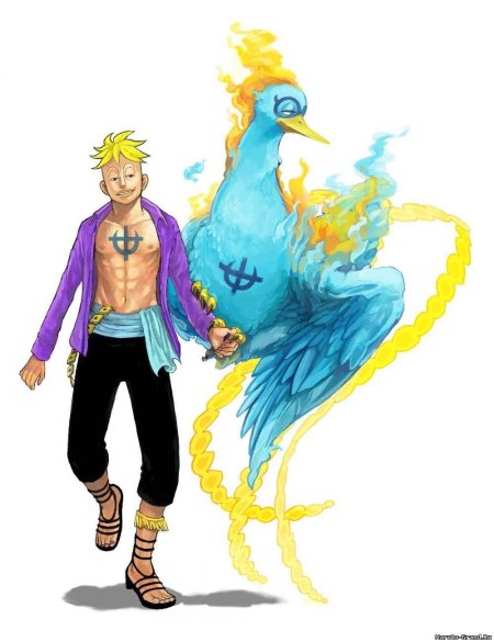 Феникс Марко Ван Пис арт