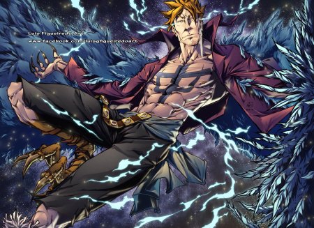 Феникс Марко Ван Пис арт