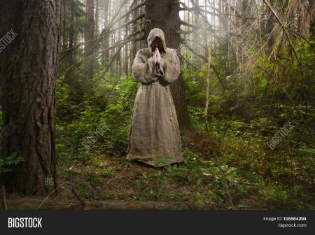 Черный монах Алешкинский лес