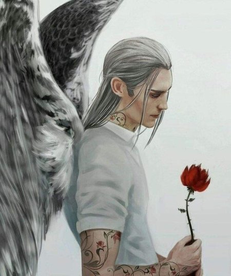 Авариэль крылатые эльфы