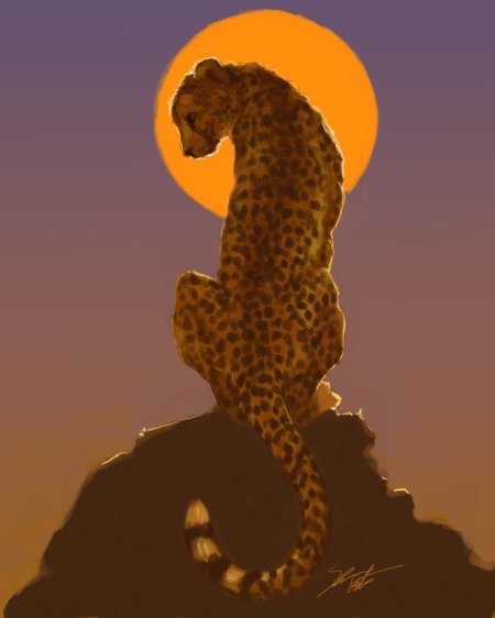 Вилд крафт арты гепард