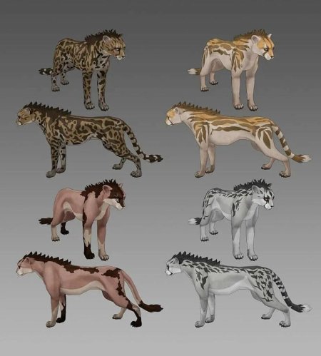 Вилд крафт гепард