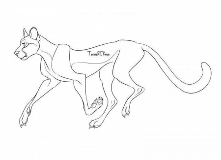 Лайны гепардов