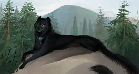 WILDCRAFT лиса арт