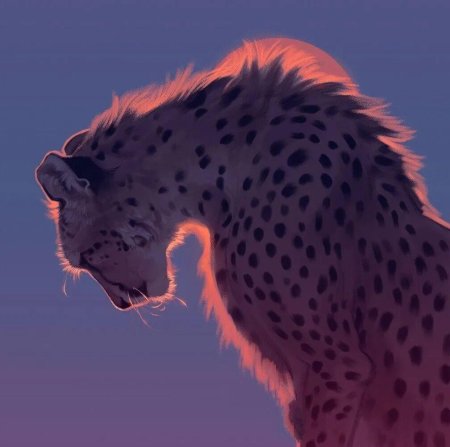 Лайри гепард