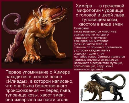 Химера мифы древней Греции