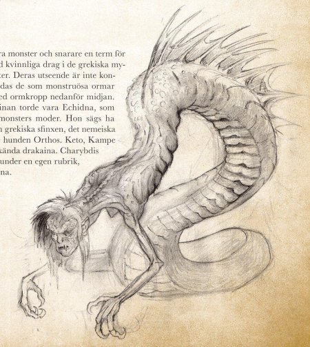 Дракайна ехидна