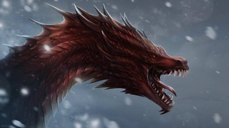 Ярость дракона 2021