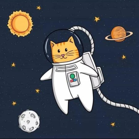 Кот космонавт