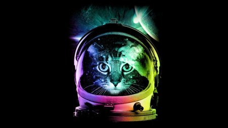 Кот космонавт