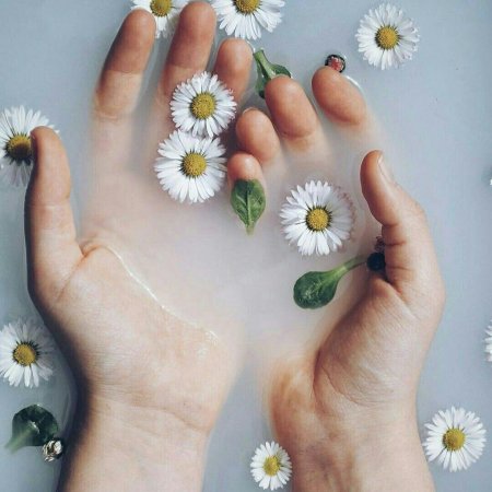 Эстетика ромашек