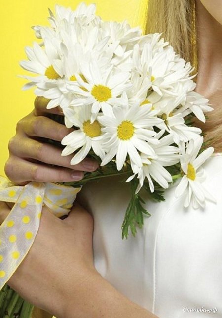 Букет ромашек в руках