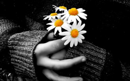 С ромашками