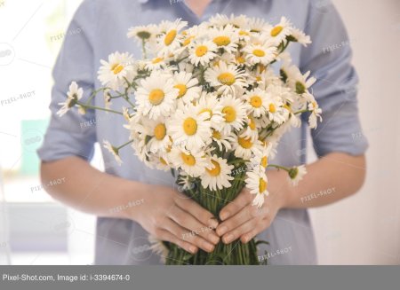 Букет ромашек