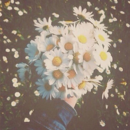 Букет ромашек